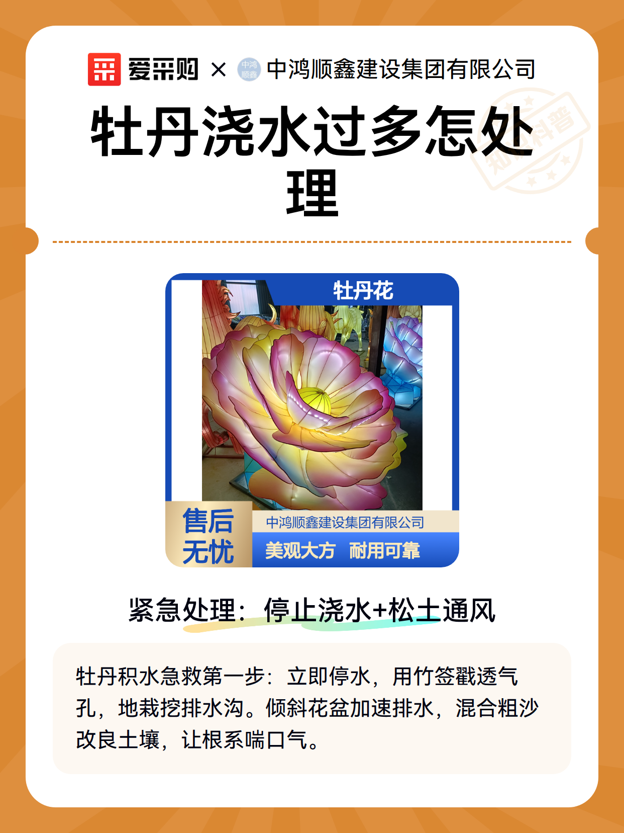 牡丹浇水过多怎处理（图2）
