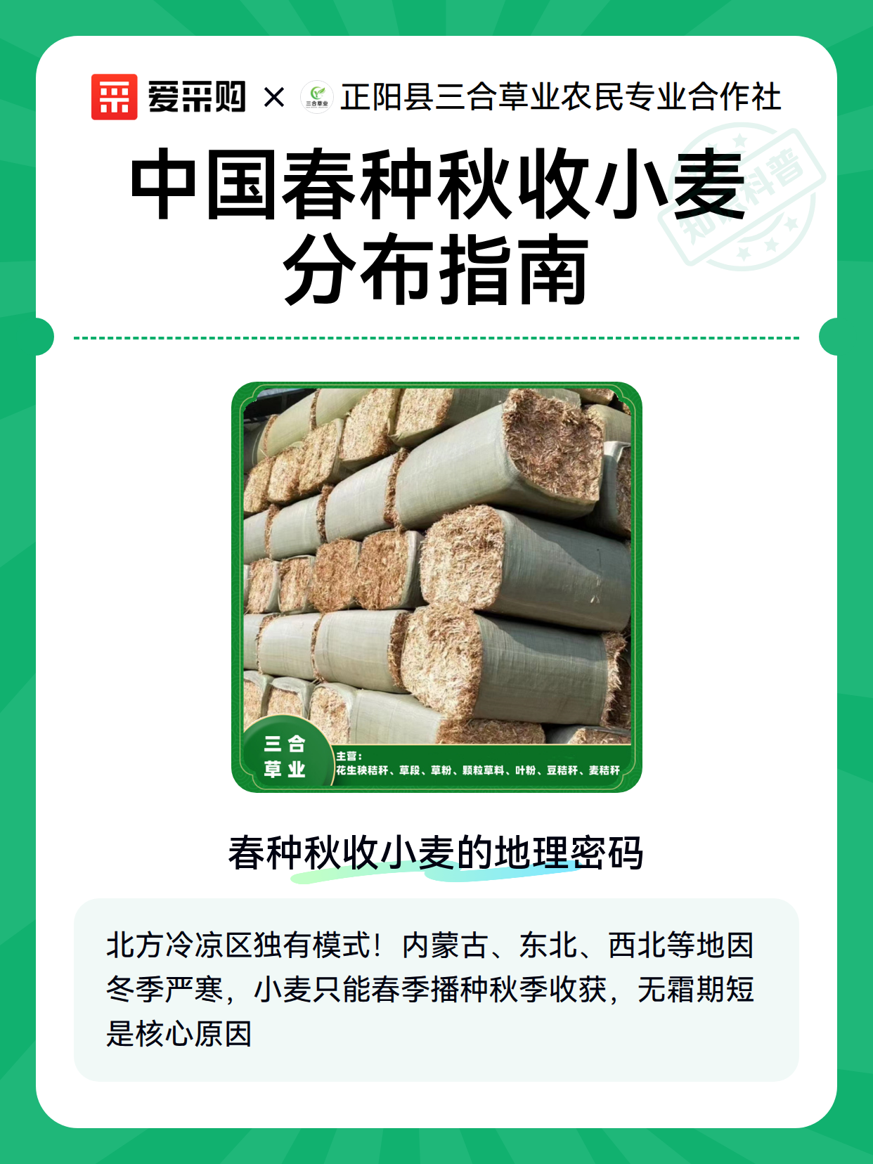 中国春种秋收小麦分布指南（图2）