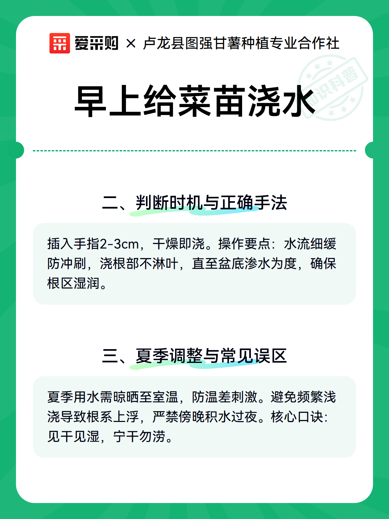 早上给菜苗浇水（图3）