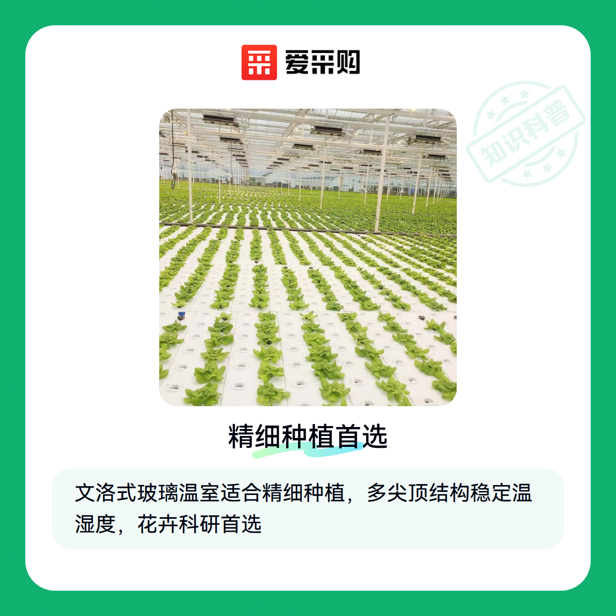 连栋大棚怎么选才不踩坑？这些关键差异你可能没想到（图1）