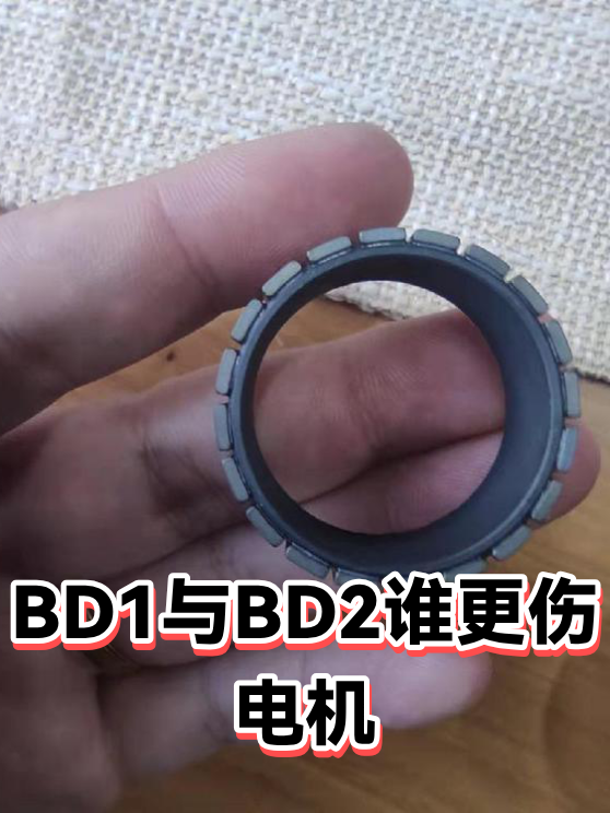 BD1与BD2谁更伤电机（图1）