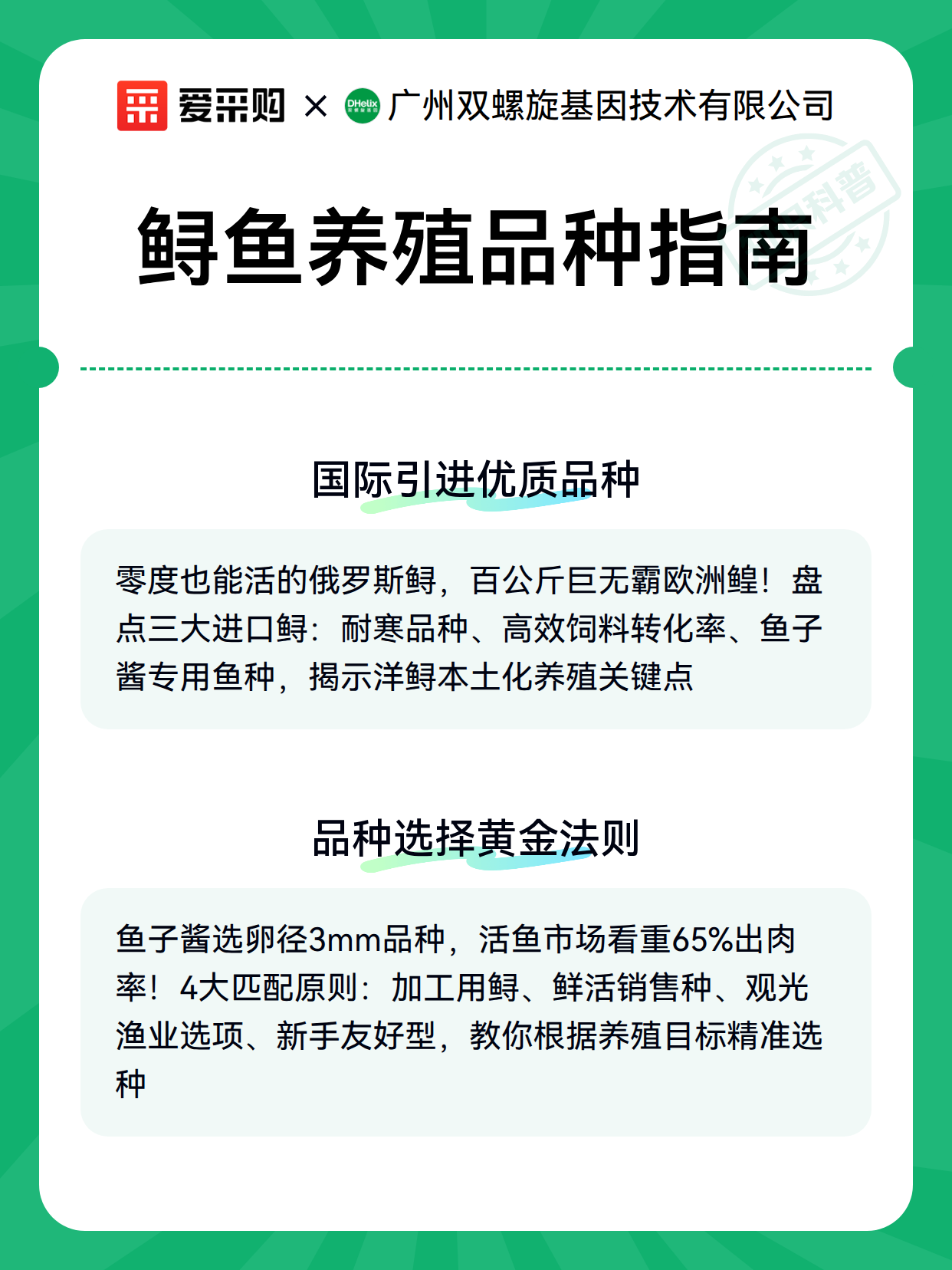 鲟鱼养殖品种指南（图2）