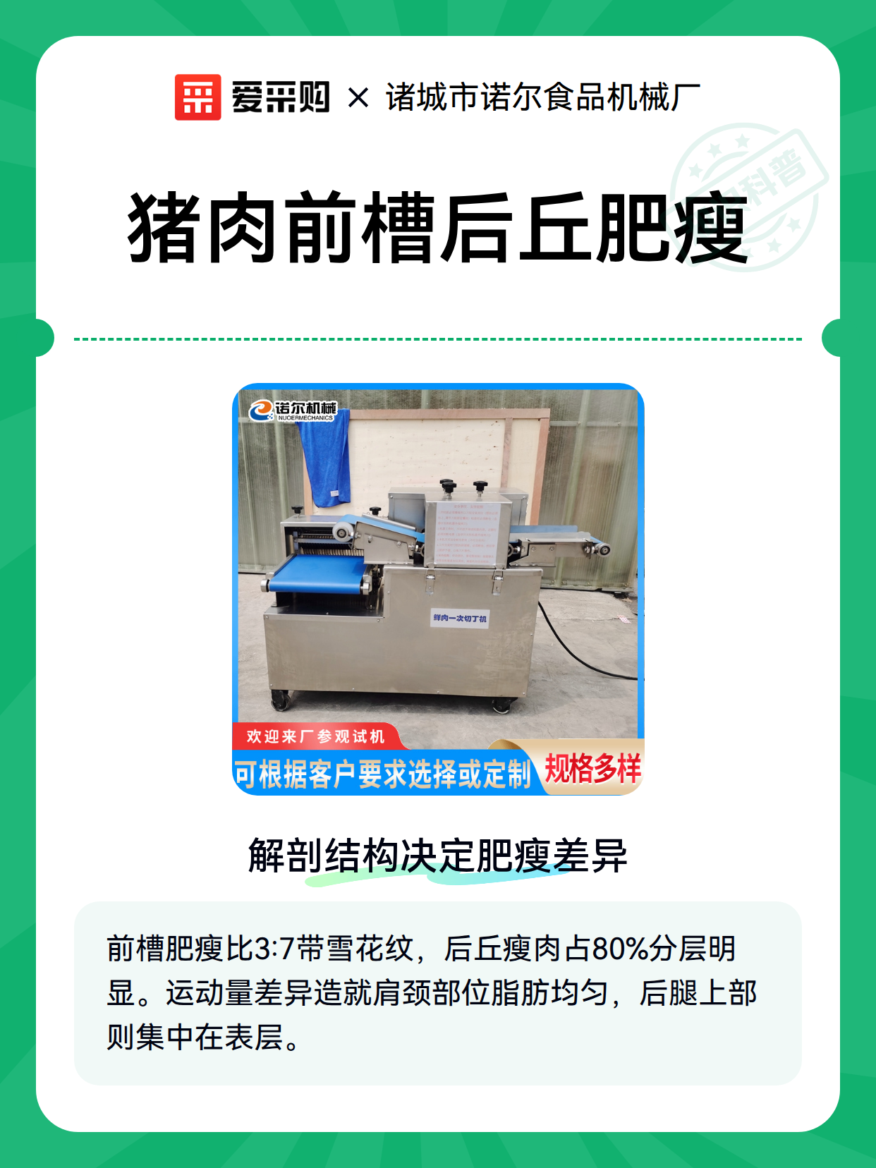 猪肉前槽后丘肥瘦（图1）