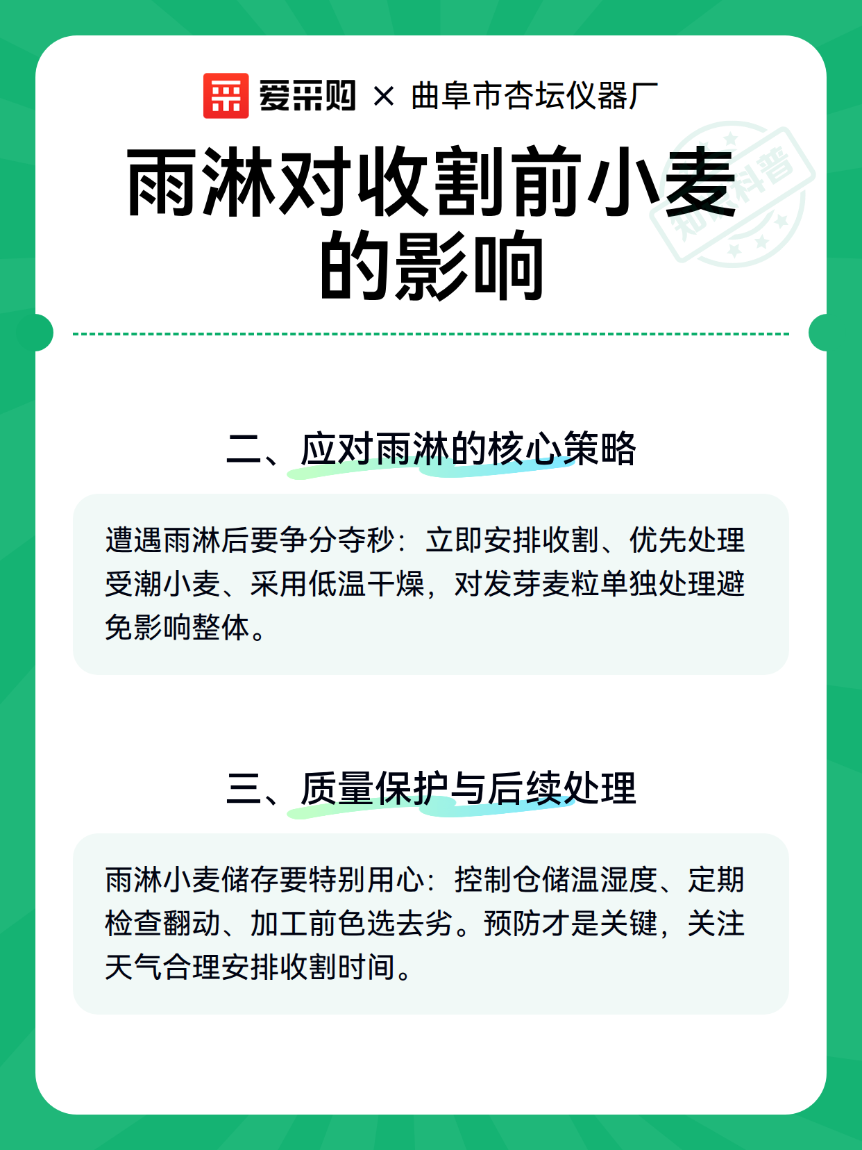 雨淋对收割前小麦的影响（图3）
