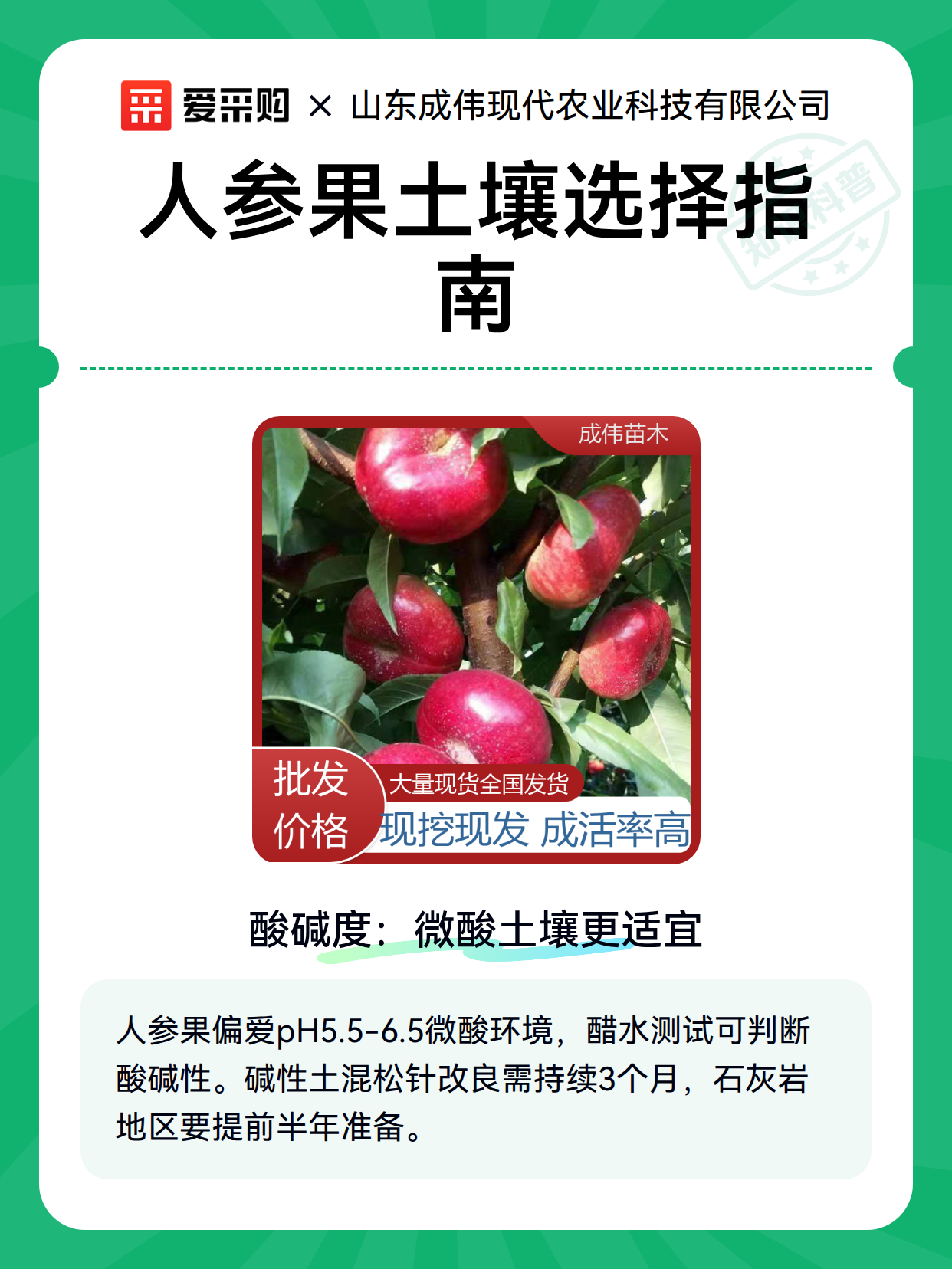 人参果土壤选择指南（图2）