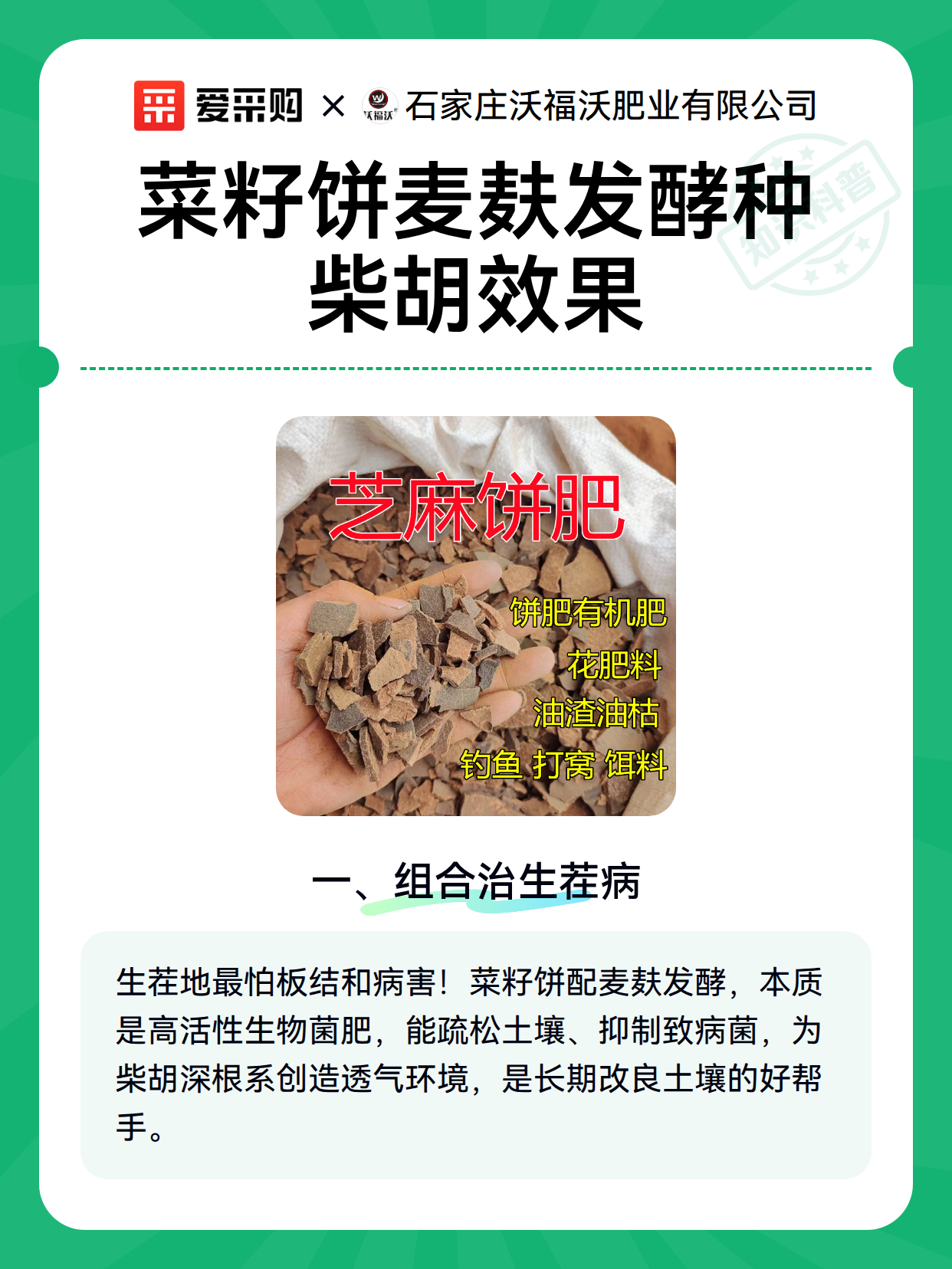 菜籽饼麦麸发酵种柴胡效果（图2）