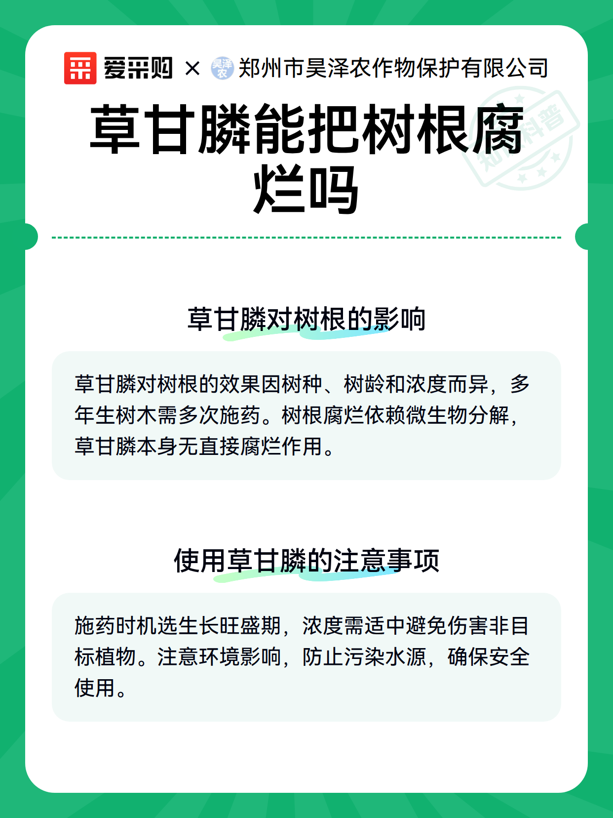 草甘膦能把树根腐烂吗（图3）