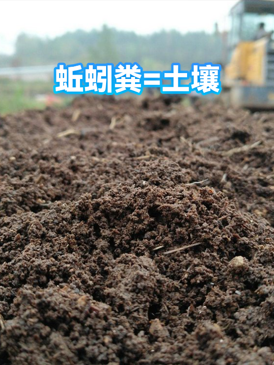 蚯蚓粪=土壤（图1）