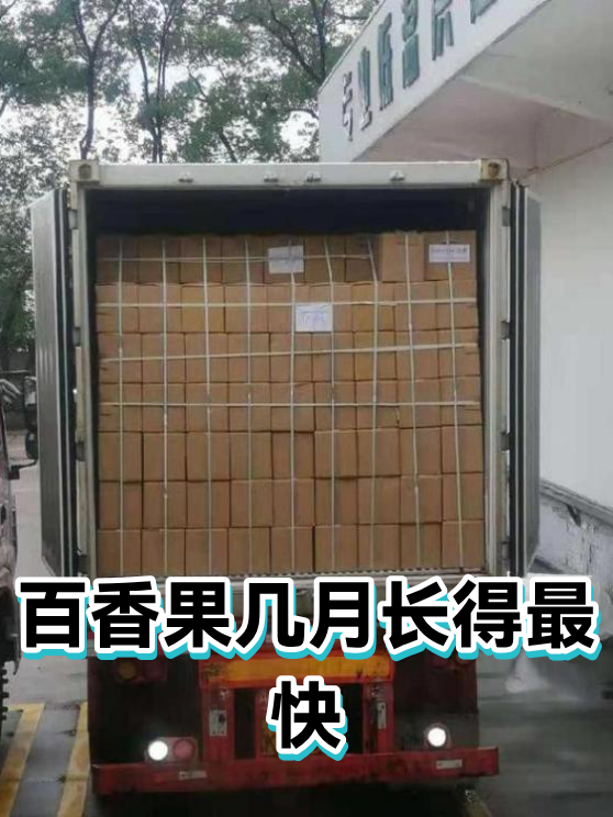 百香果几月长得最快（图1）