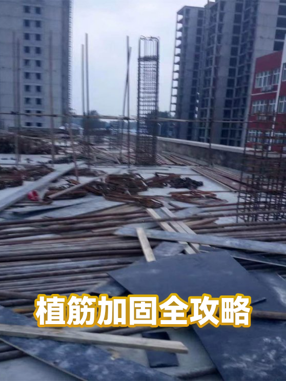 植筋加固全攻略（图1）