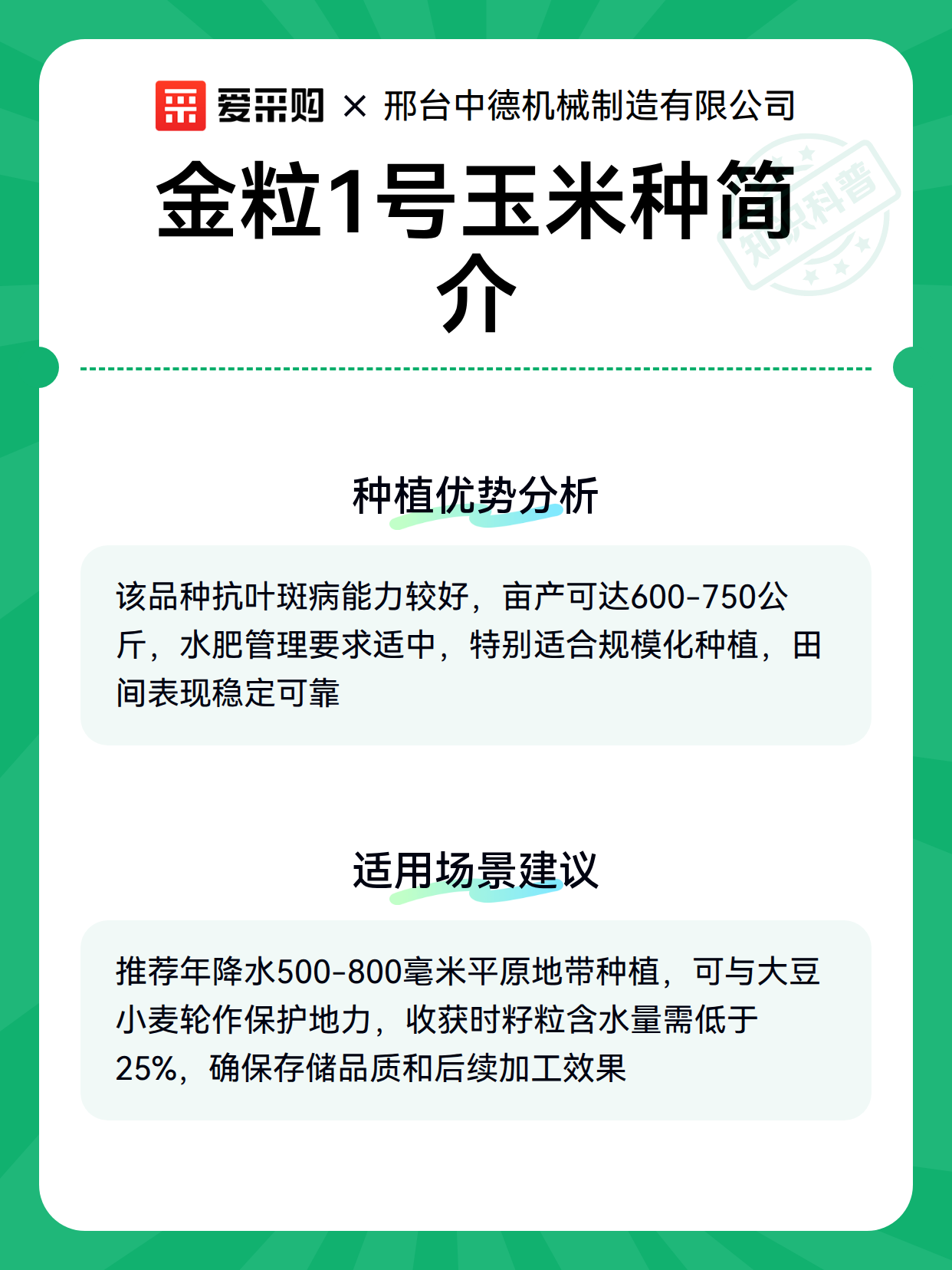 金粒1号玉米种简介（图3）