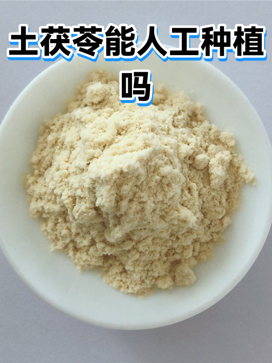 土茯苓能人工种植吗（图1）