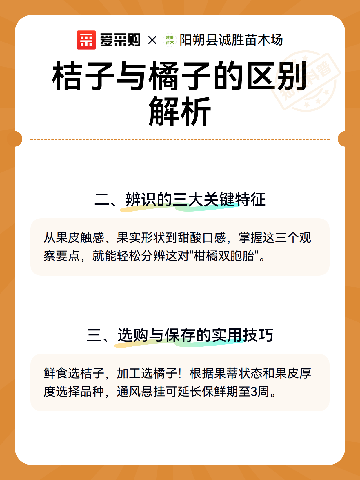 桔子与橘子的区别解析（图3）
