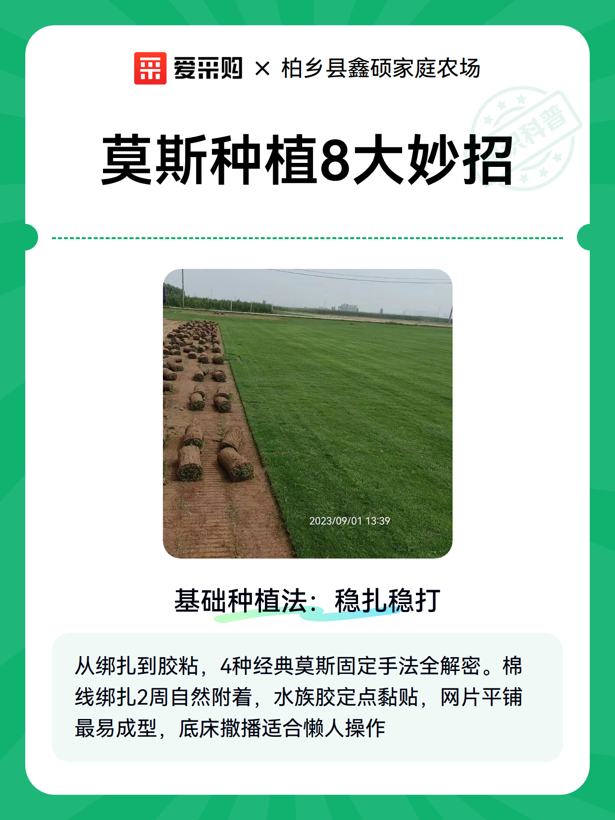 莫斯种植8大妙招（图2）