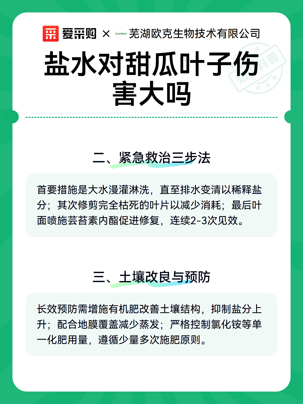 盐水对甜瓜叶子伤害大吗（图2）