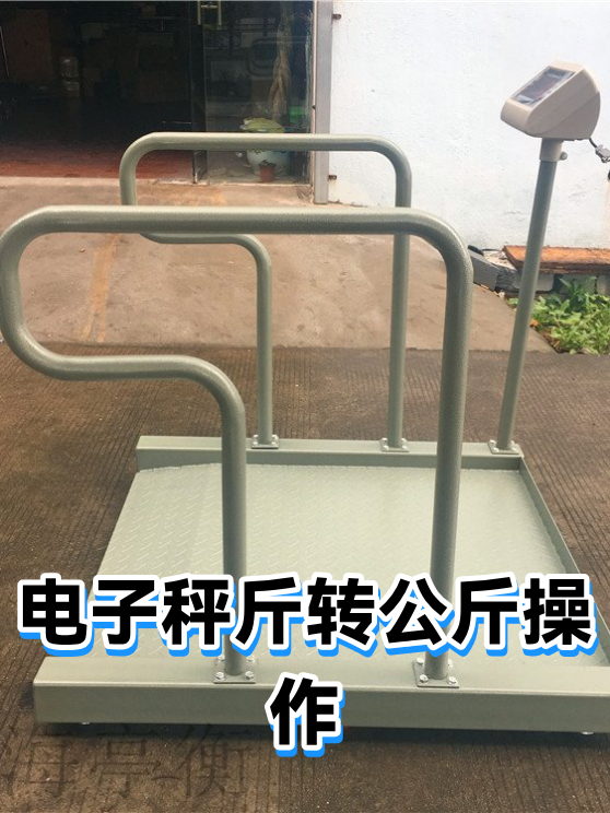 电子秤斤转公斤操作（图1）