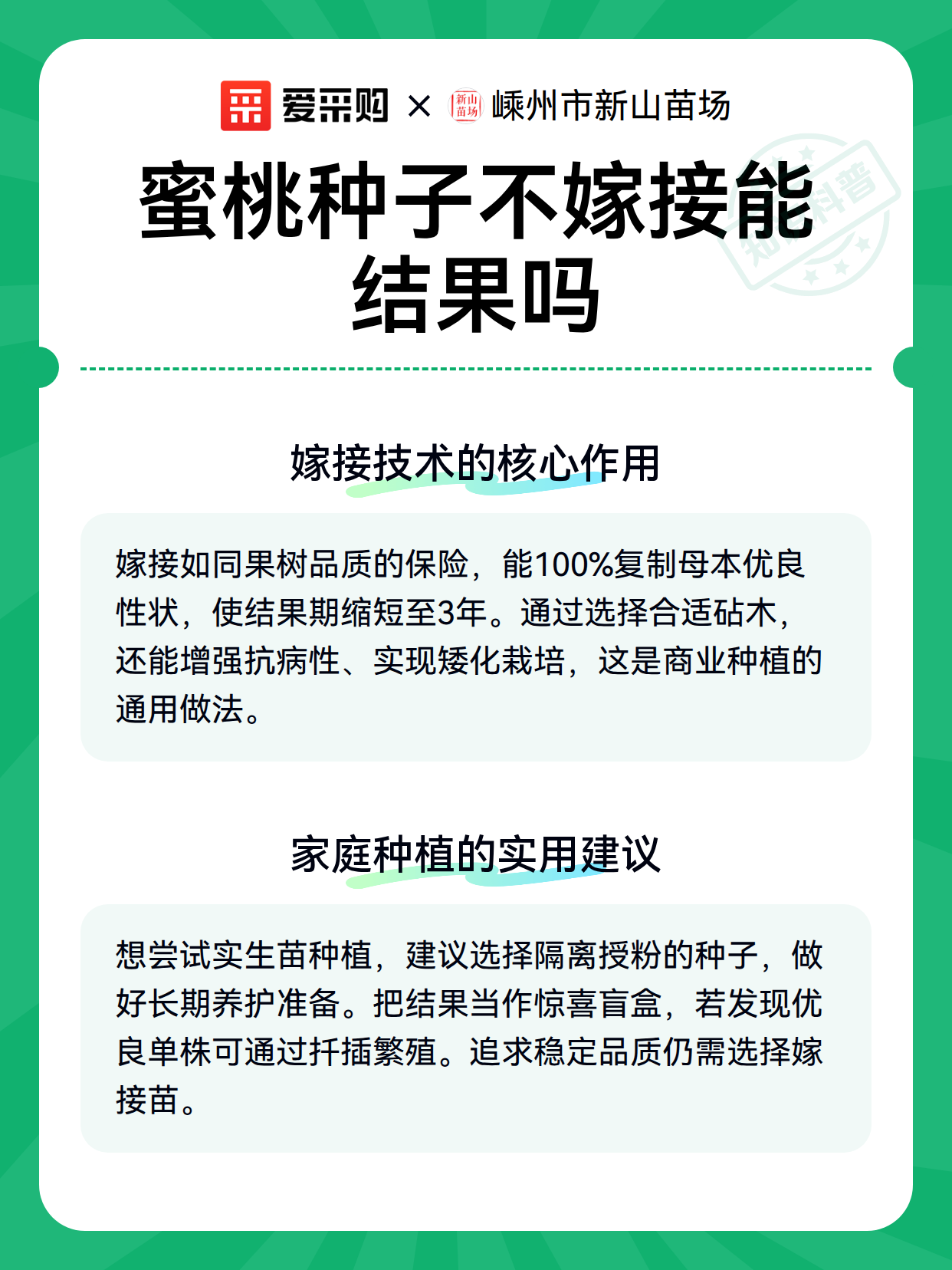 蜜桃种子不嫁接能结果吗（图3）