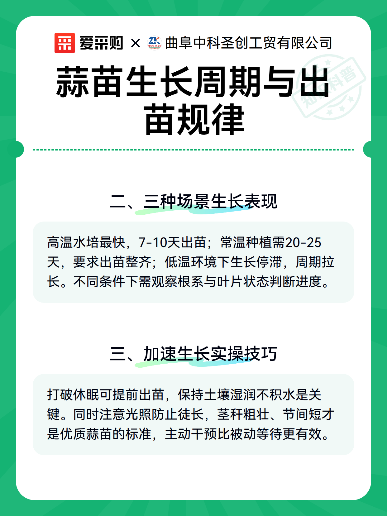 蒜苗生长周期与出苗规律（图2）