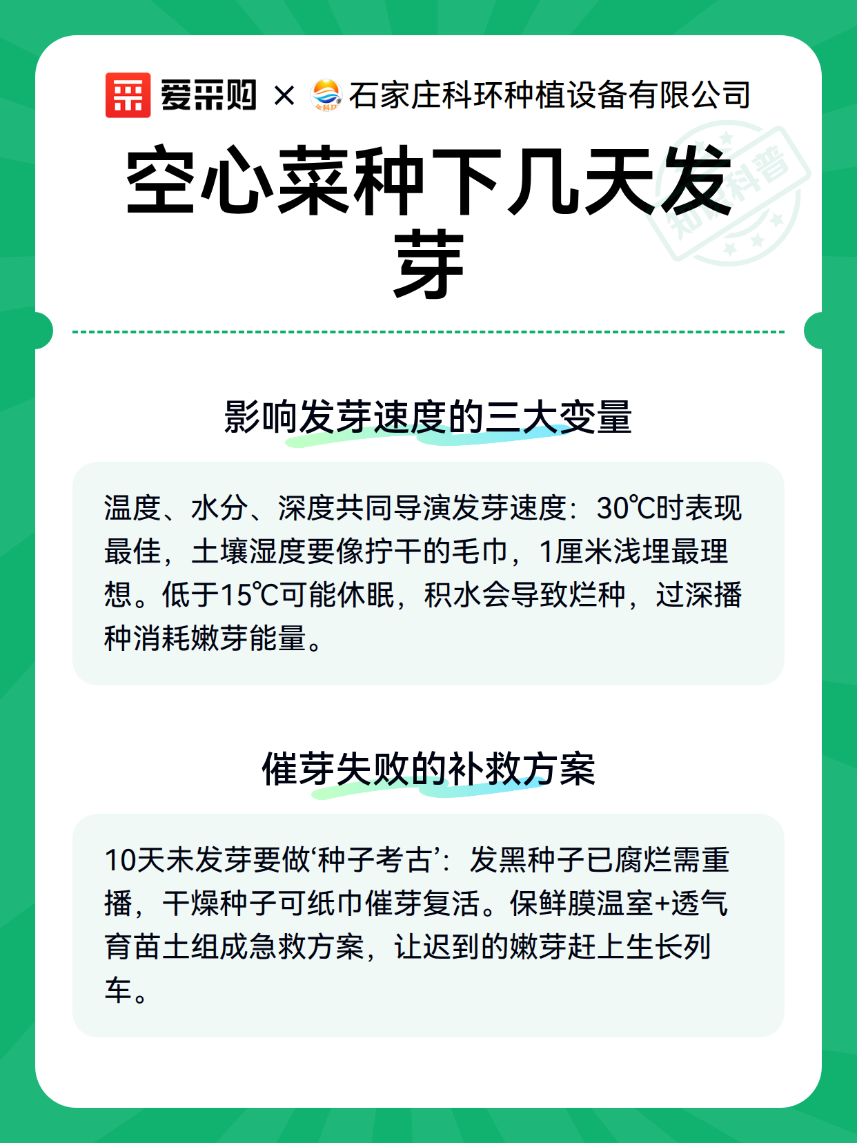 空心菜种下几天发芽（图3）