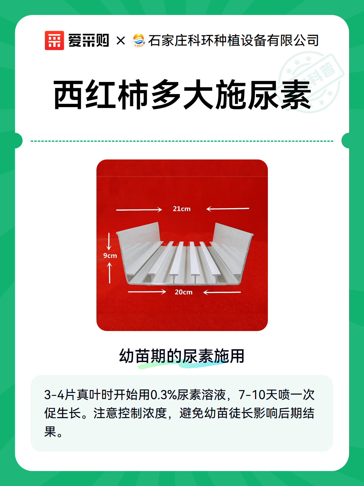 西红柿多大施尿素（图2）