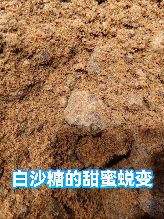 白沙糖的甜蜜蜕变（图1）