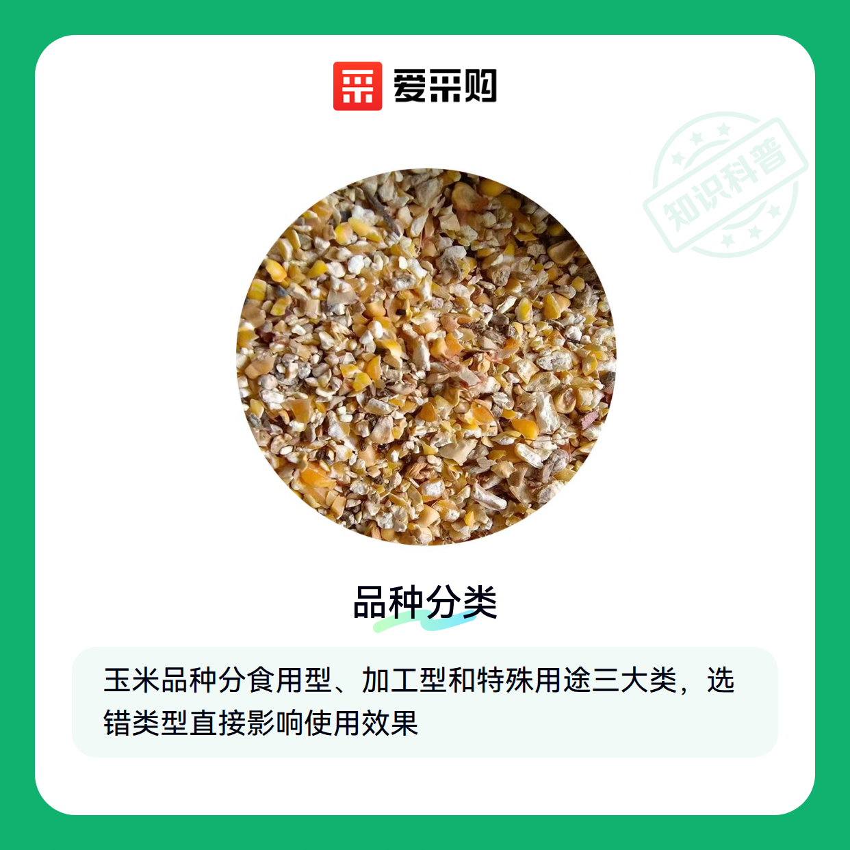 玉米品种繁多，润单899适合你的需求吗？（图1）