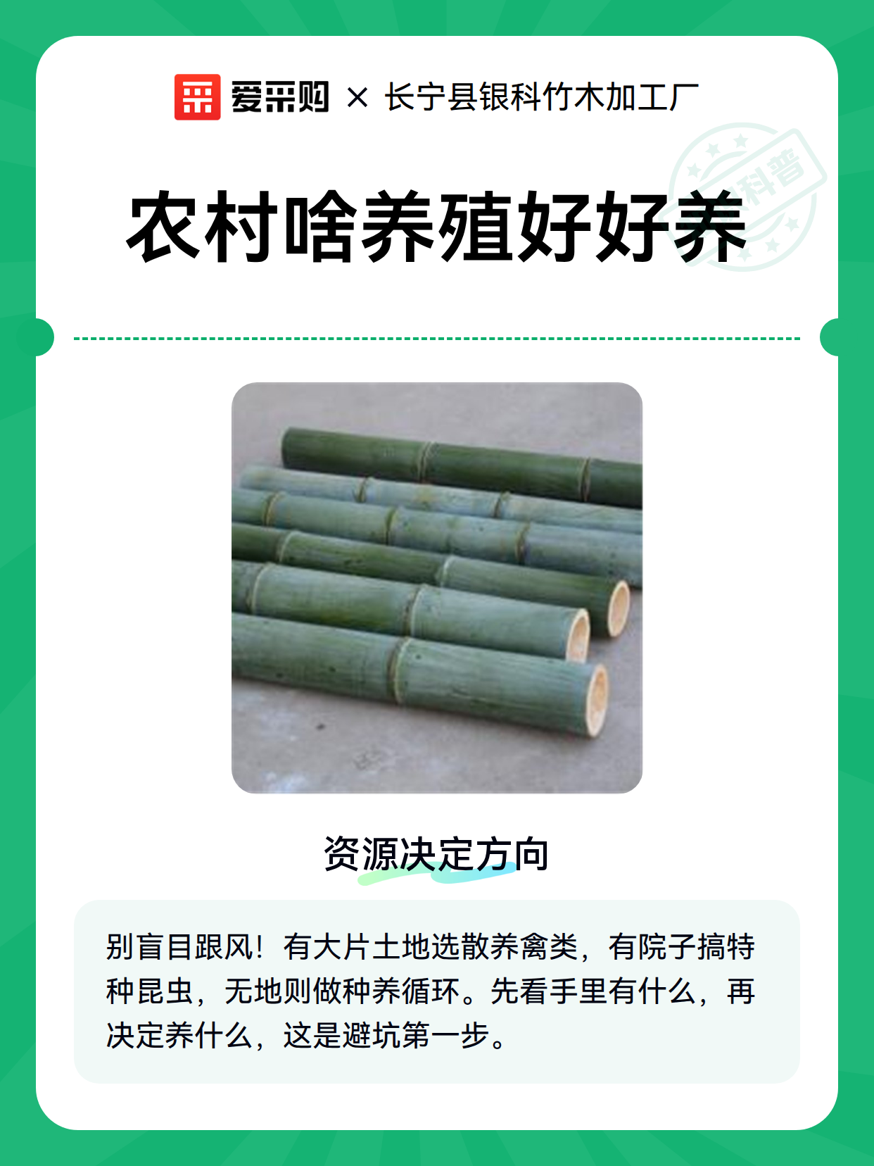 农村啥养殖好好养（图2）