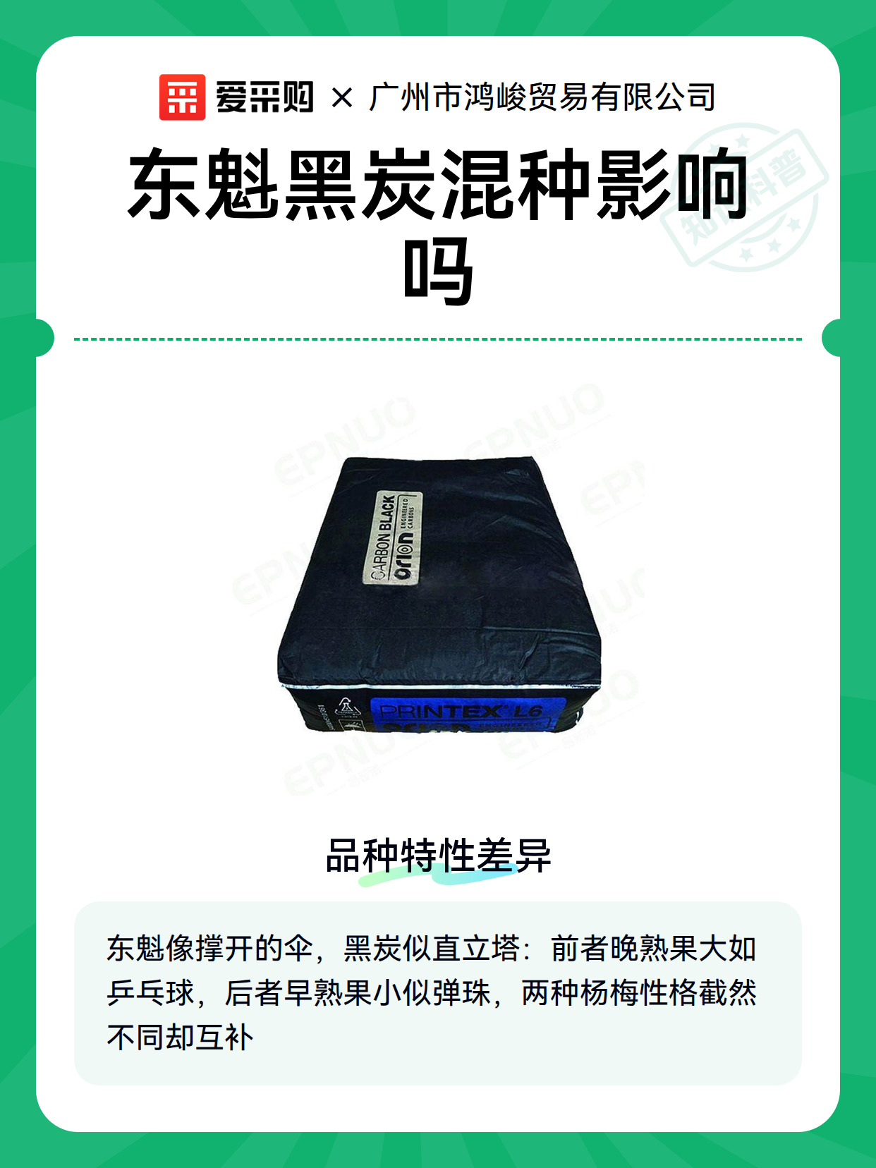 东魁黑炭混种影响吗（图2）