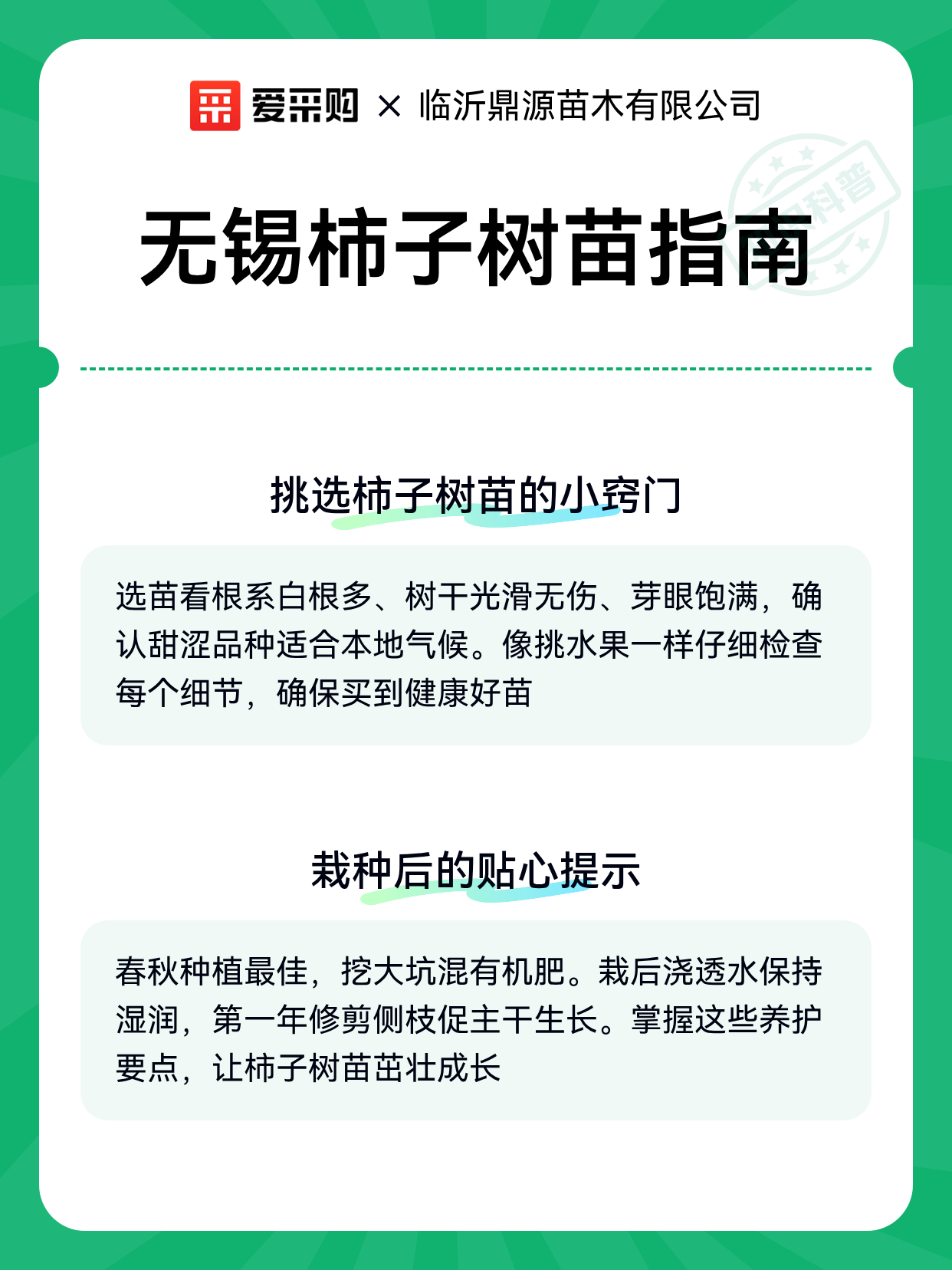 无锡柿子树苗指南（图2）