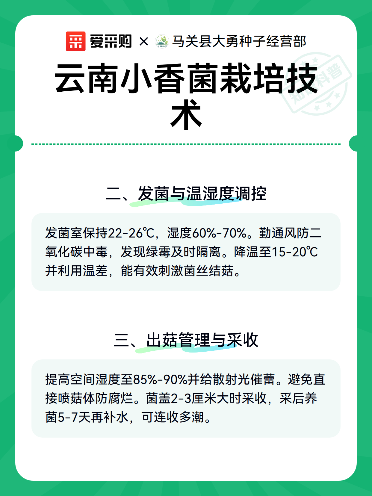 云南小香菌栽培技术（图3）