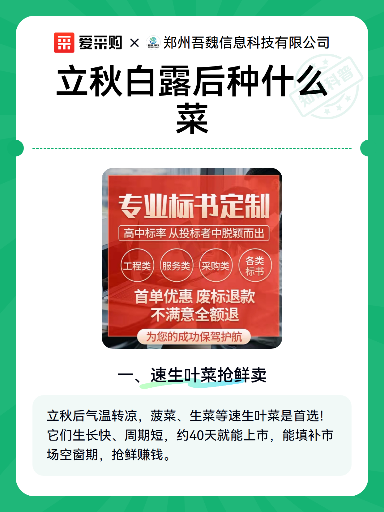 立秋白露后种什么菜（图2）