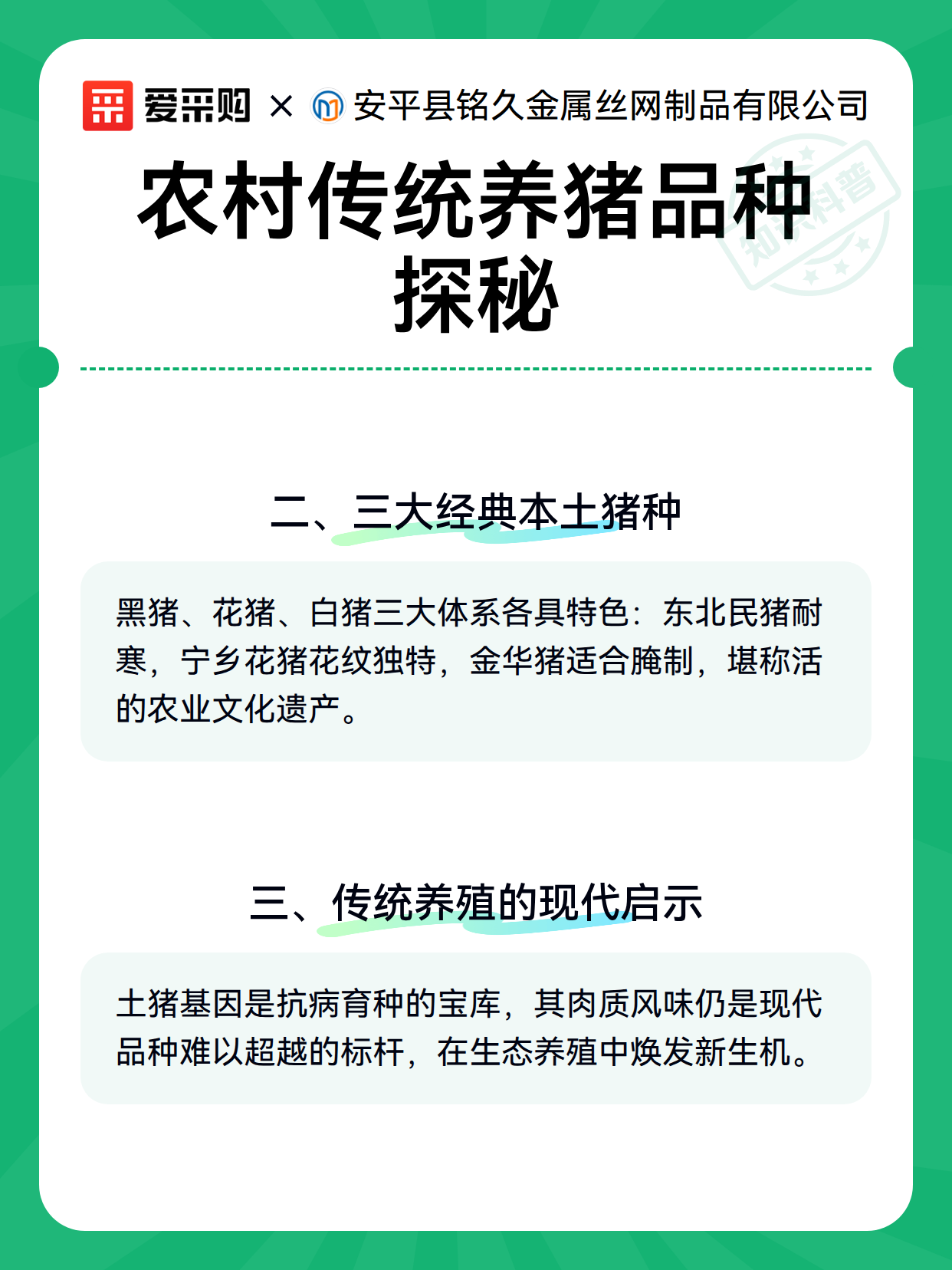 农村传统养猪品种探秘（图2）