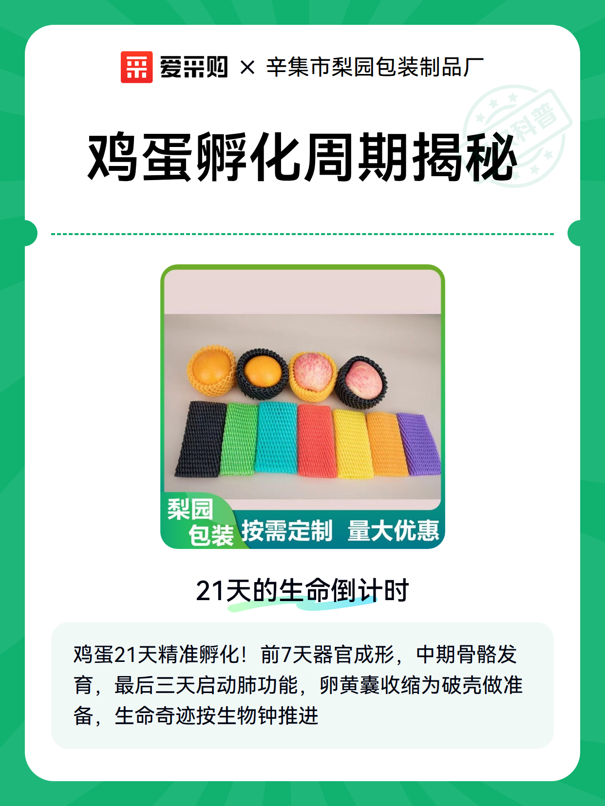 鸡蛋孵化周期揭秘（图1）