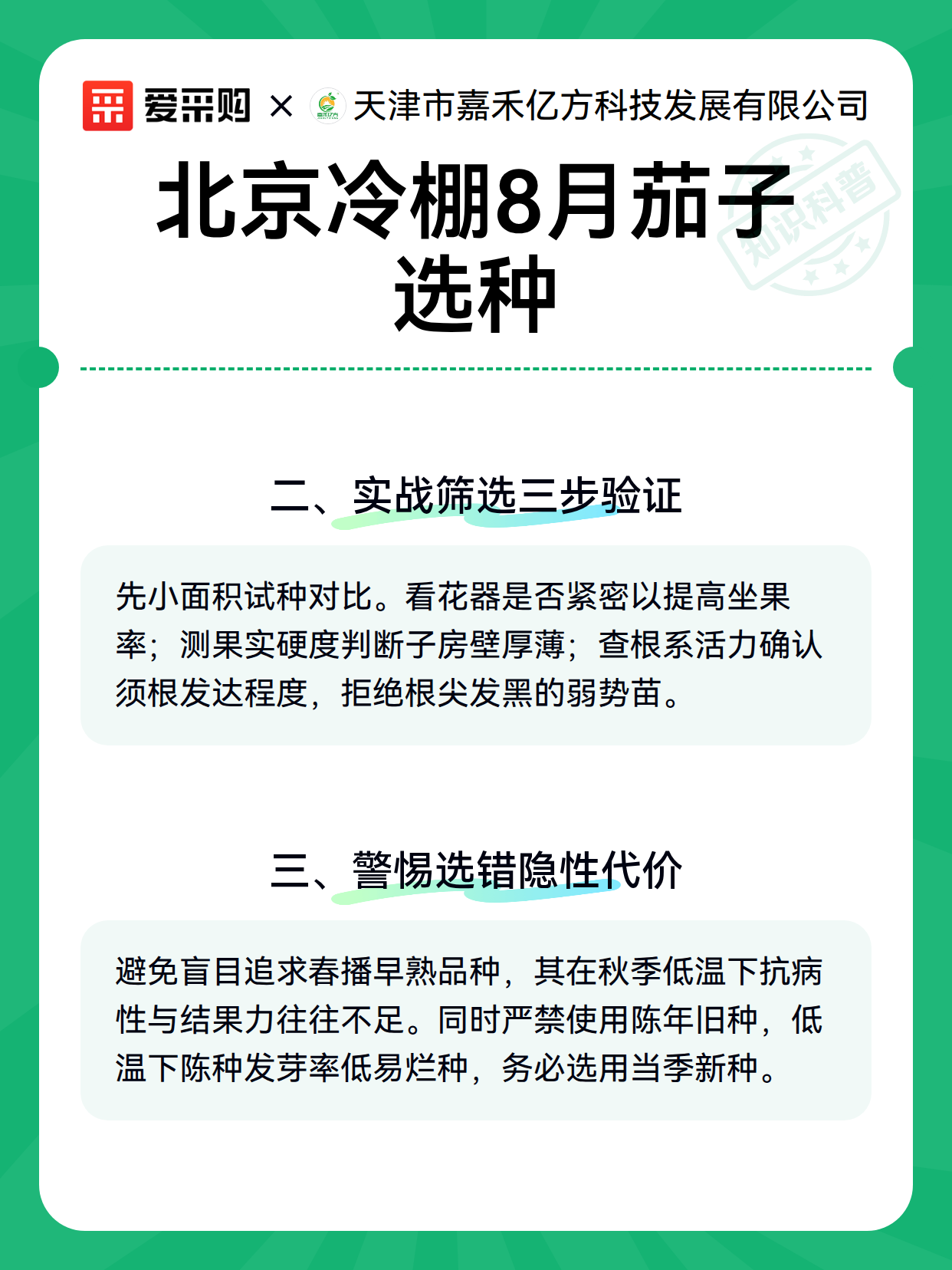 北京冷棚8月茄子选种（图3）