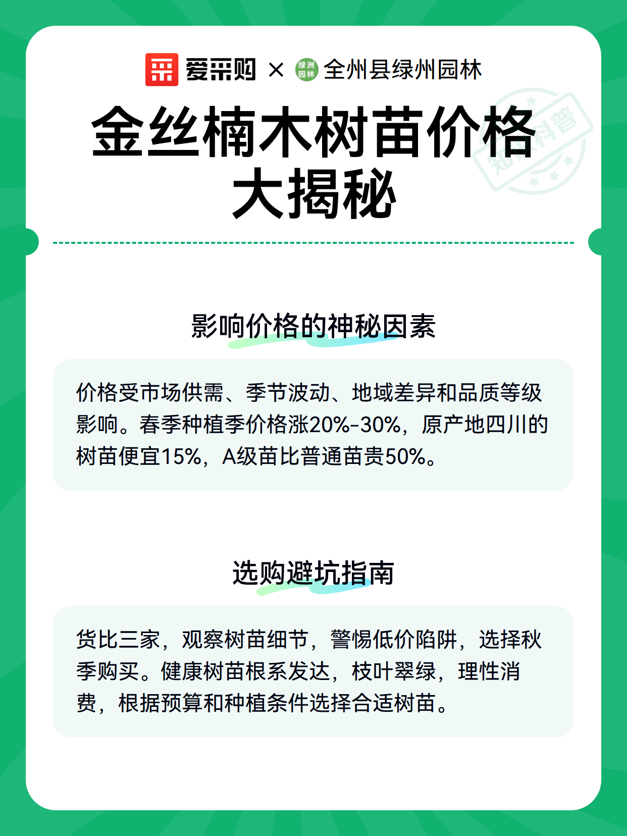 金丝楠木树苗价格大揭秘（图3）