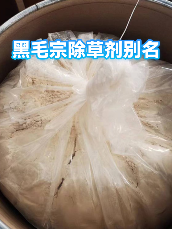 黑毛宗除草剂别名（图1）