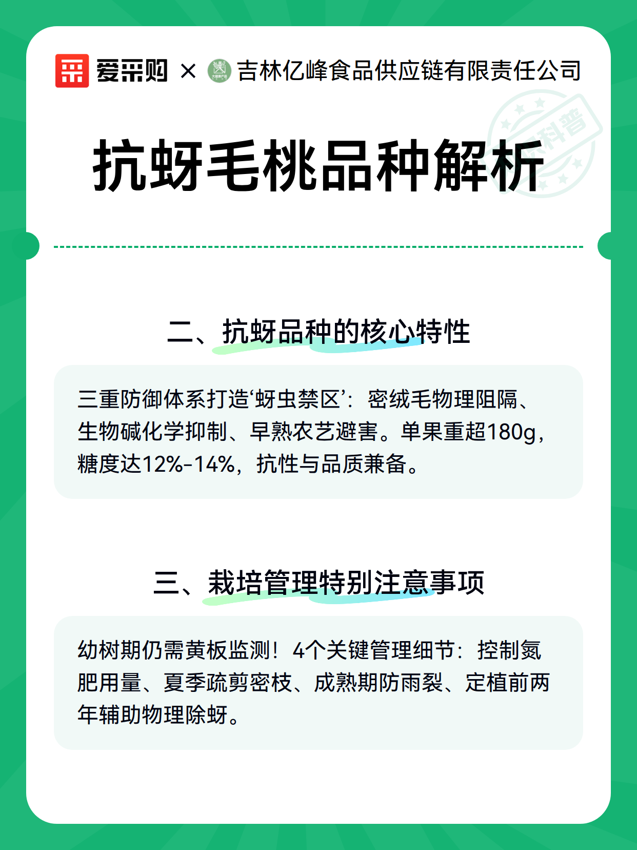 抗蚜毛桃品种解析（图3）