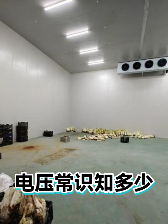 电压常识知多少（图1）