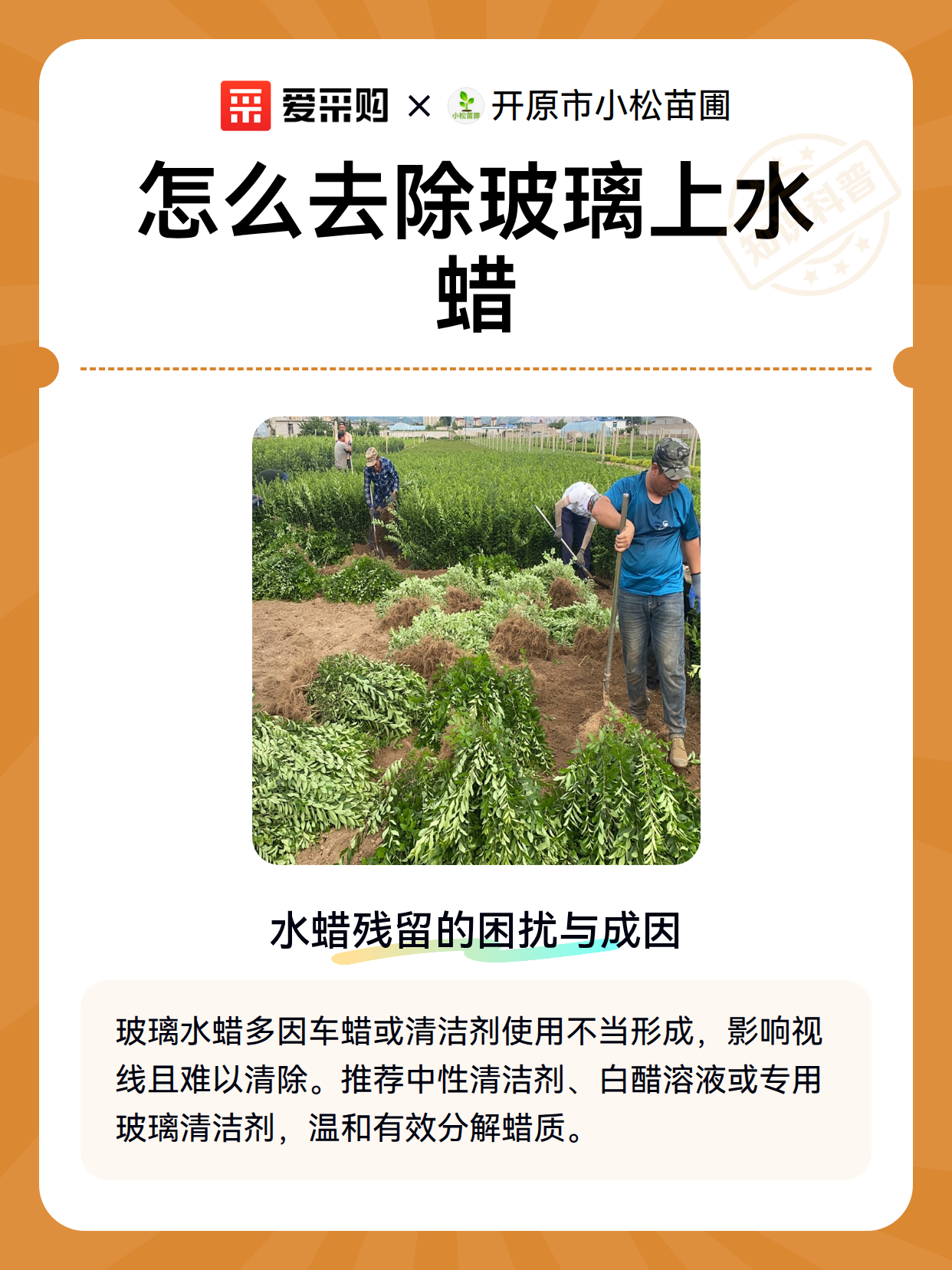 怎么去除玻璃上水蜡（图2）