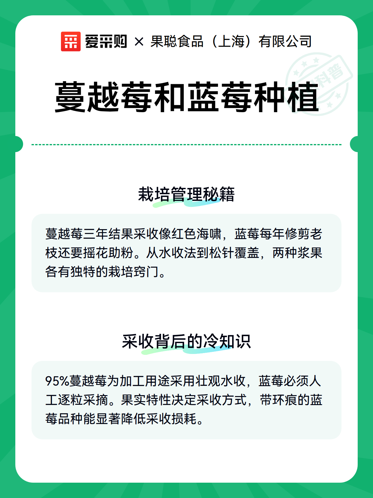 蔓越莓和蓝莓种植（图3）