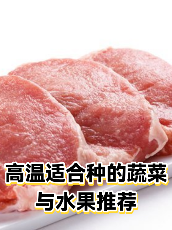 高温适合种的蔬菜与水果推荐（图1）