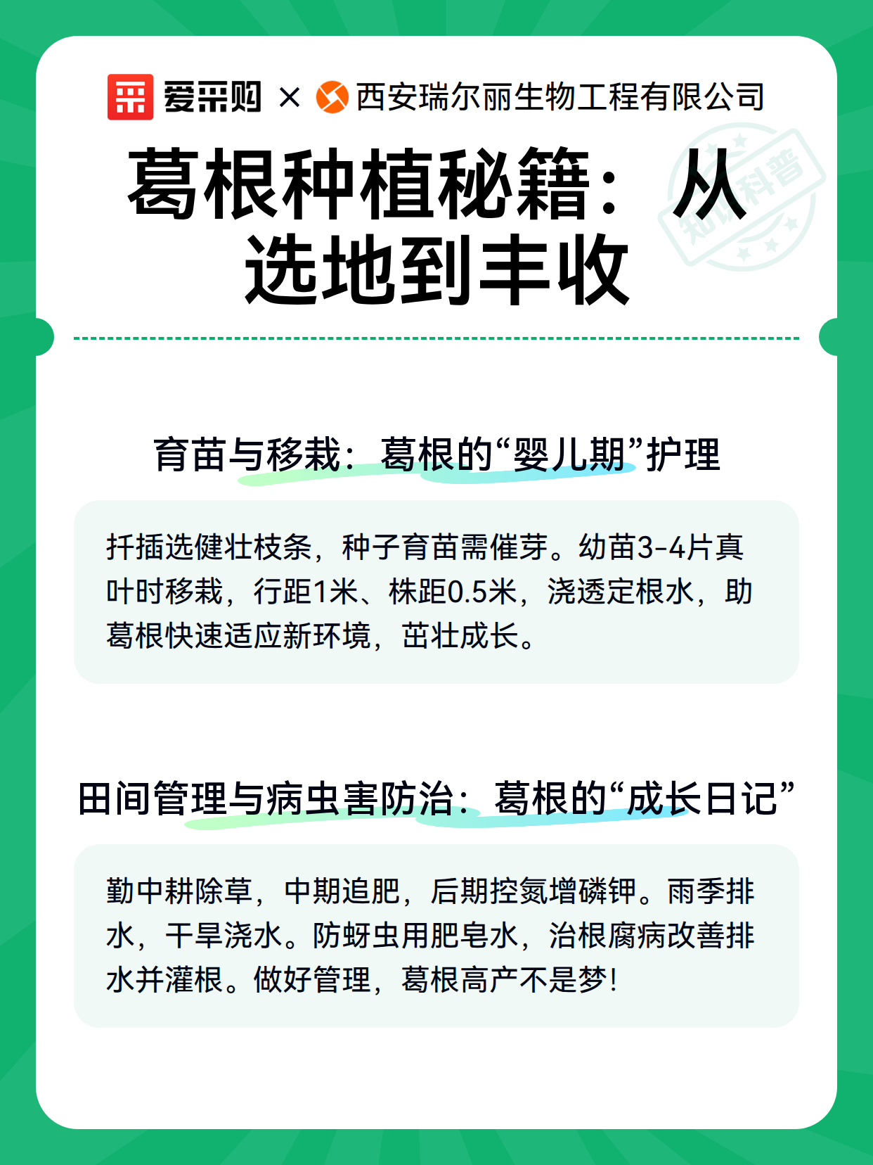 葛根种植秘籍：从选地到丰收（图3）