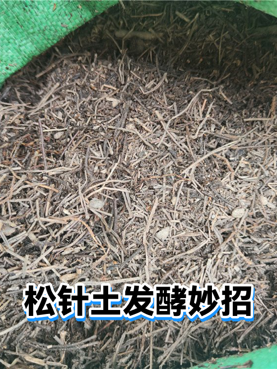松针土发酵妙招（图1）