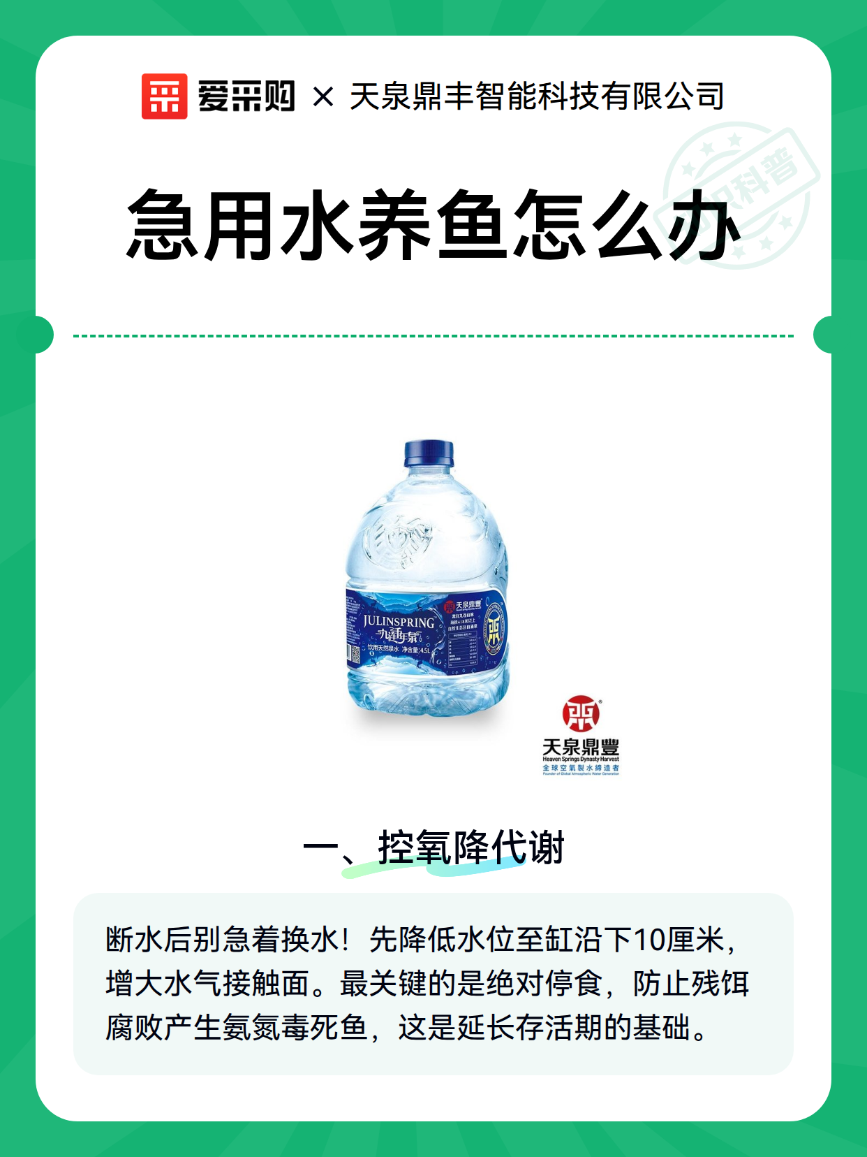 急用水养鱼怎么办（图1）