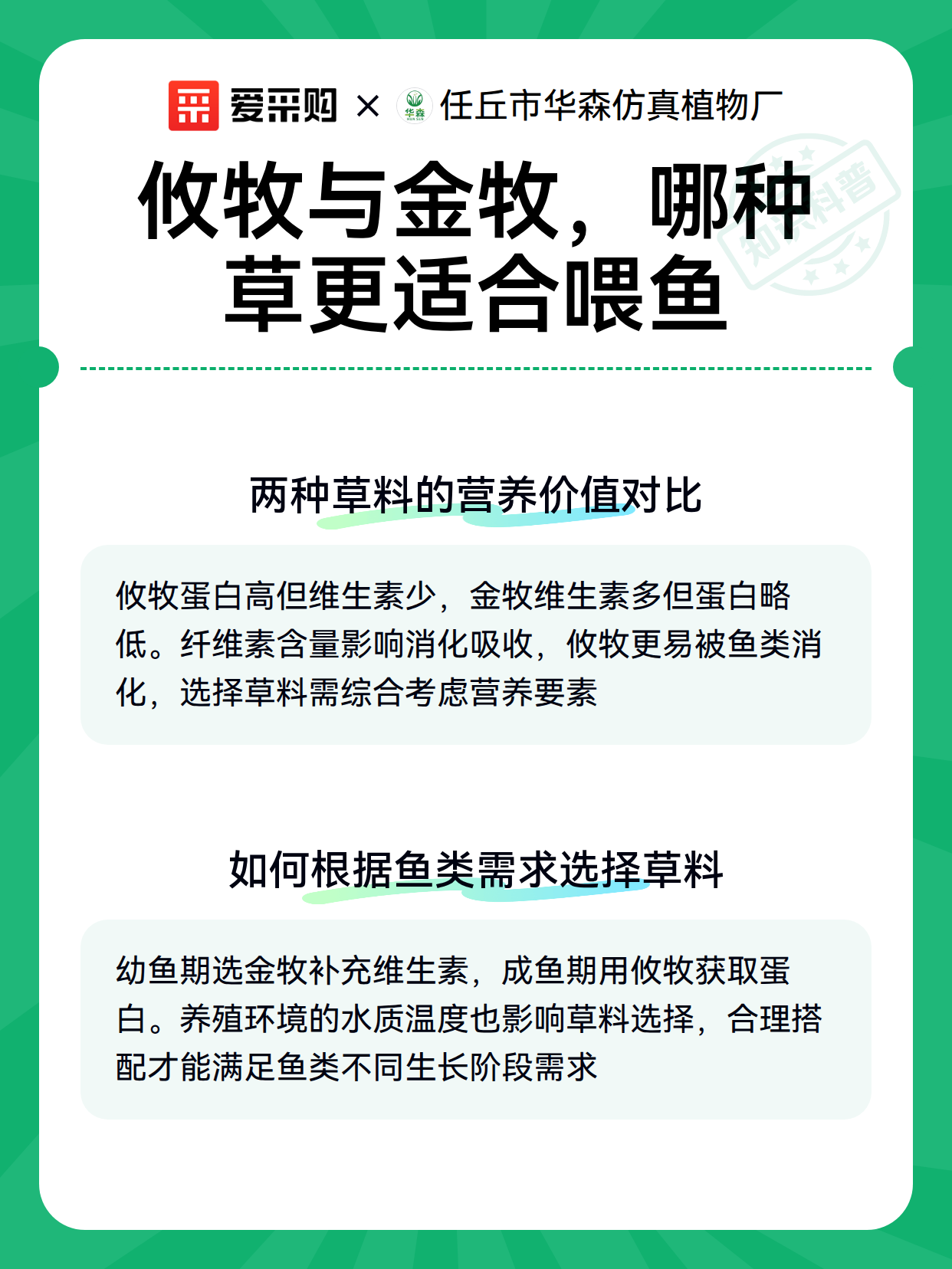 攸牧与金牧，哪种草更适合喂鱼（图2）