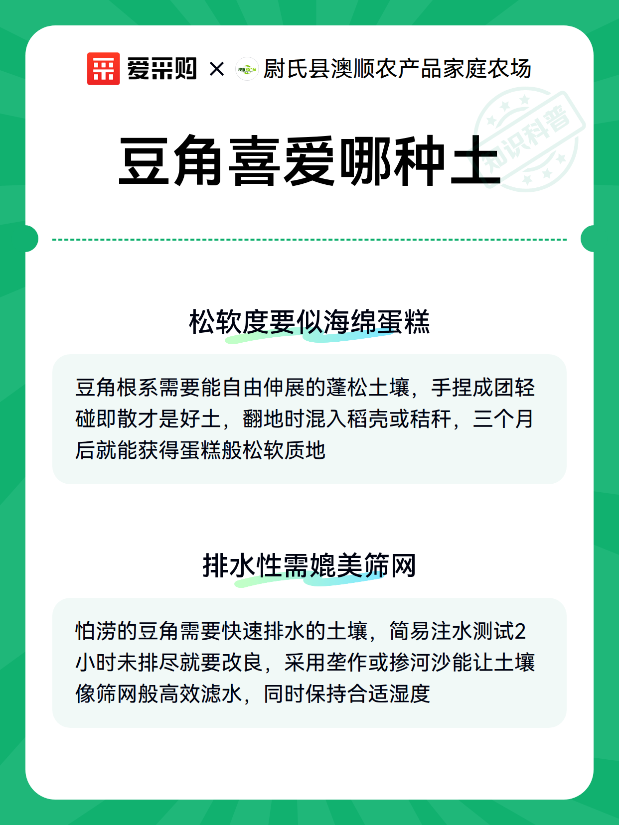 豆角喜爱哪种土（图3）