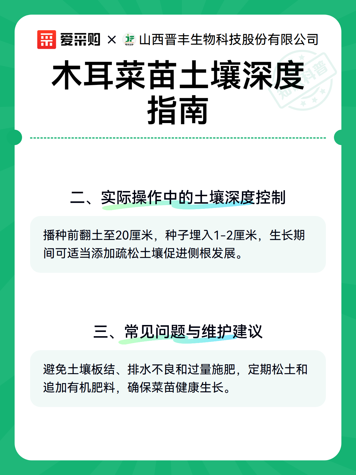 木耳菜苗土壤深度指南（图2）