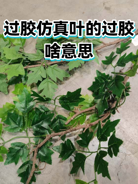 过胶仿真叶的过胶啥意思（图1）