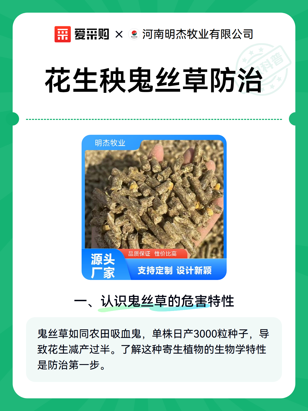 花生秧鬼丝草防治（图2）