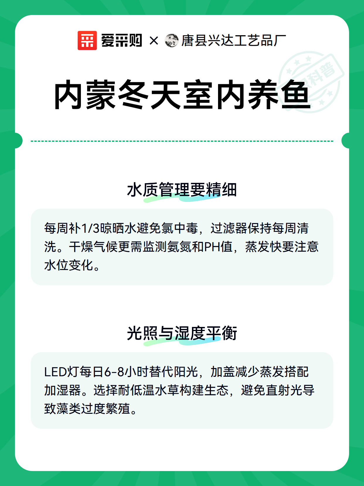 内蒙冬天室内养鱼（图2）